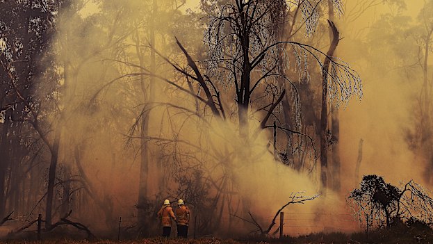 Photo: Kate Geraghty.