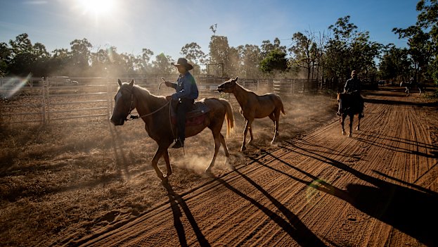 Patrick returns to the homestead after a day’s mustering.