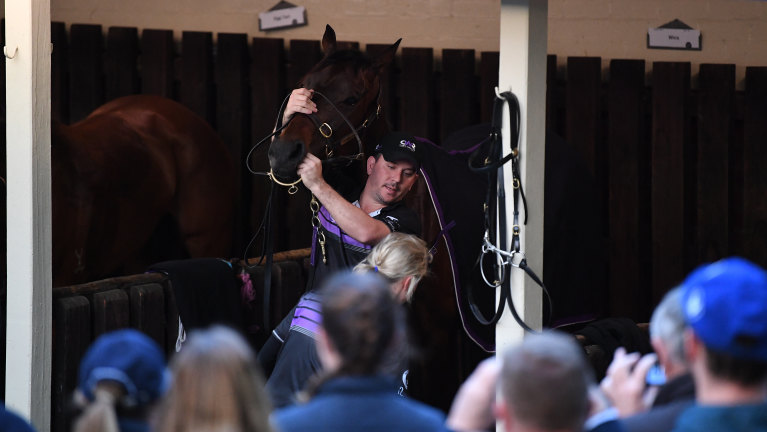 Winx owner Debbie Kepitis confronts journalist Matt Chapman after fourth  Cox Plate win