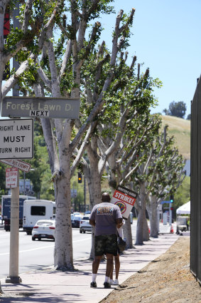 Picketers near trees outside Universal Studios on Wednesday.