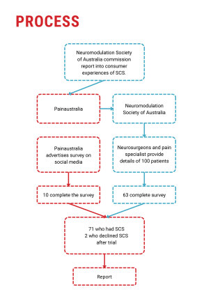 A page from the Spinal Cord Stimulator Implants Consumer Experience Report, December 2023.