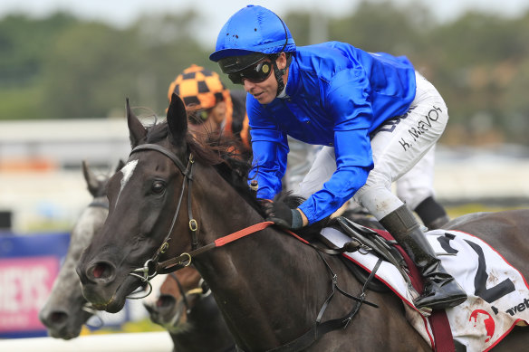 
 Godolphin heavyweight Avilius is a three-time group 1 winner and looks very well treated in The Doncaster Mile.  