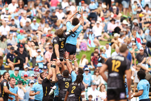 The Waratahs win a lineout in front of a pumping Leichhardt Oval crowd.