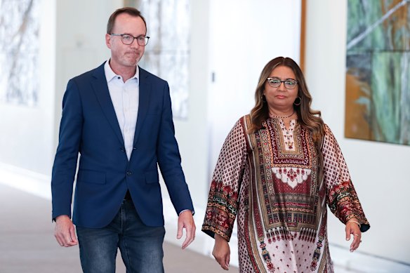 Greens leadership contenders David Shoebridge and Mehreen Faruqi, both senators for NSW. 