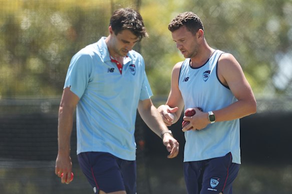 Cummins and Hazlewood are on the injury comeback. 