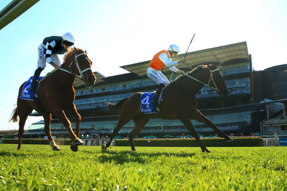 Montefilia takes the Flight Stakes at Randwick on Saturday.