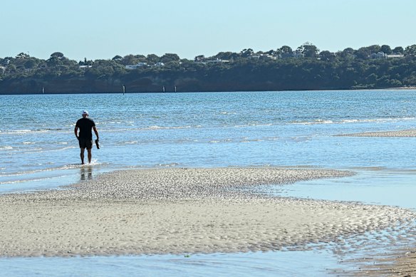Parkdale beach encourages everyone to get out and walk.