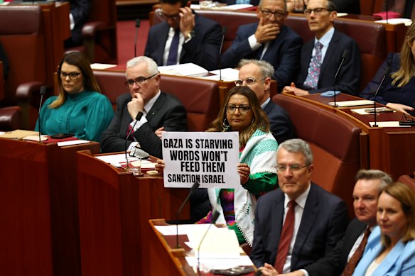 Greens senator Mehreen Faruqi holds the sign as Governor-General Samantha Mostyn addresses both houses.
