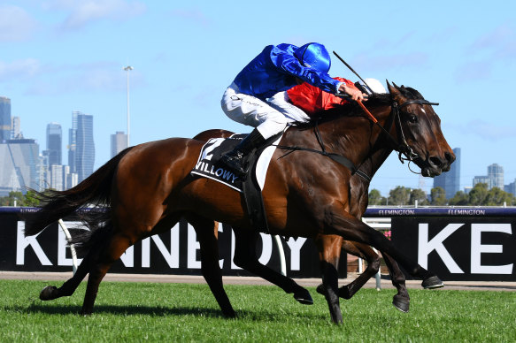 Damien Oliver steers Willowy to victory in the Oaks at Flemington.