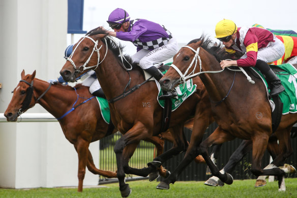 Relucent could be better for a recent run when he tackles the fourth at Warwick Farm today.