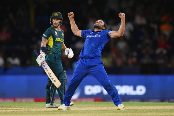 Gulbadin Naib celebrates one of his four wickets.