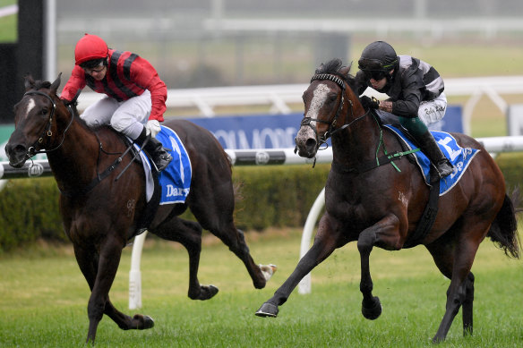 Sixgun launches on the outside to makes a winning start to his career at Canterbury on Wednesday.