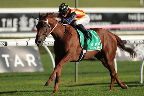 Nature Strip is expected to win his barrier trial at Rosehill on Friday.