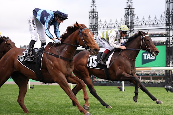 Skybird and Ben Melham took out the Gilgai Stakes at Flemington on Saturday – just.
