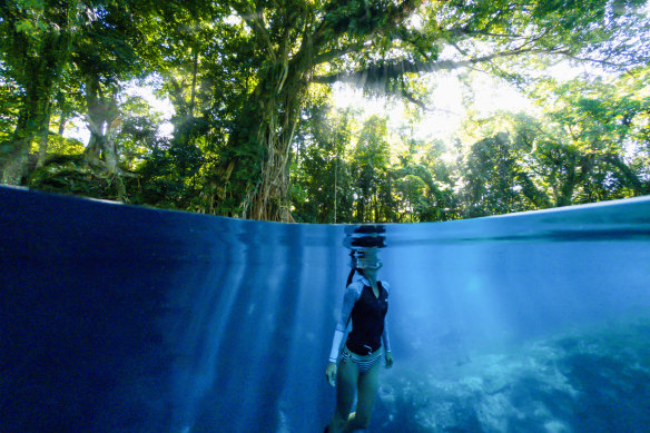 Matevulu Blue Hole. The blue holes are waterholes full of electric-blue, crystal-clear water created by mountain water filtered through kilometres of underground caves.