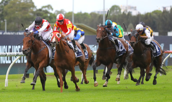 Reece Jones (red and white silks) riding Tapildoodledo to a win at Rosehill Gardens on Saturday.