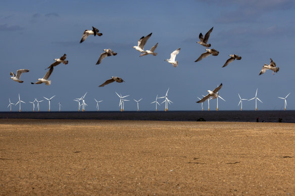 In Australia, it’s early days for offshore wind but the momentum is building.