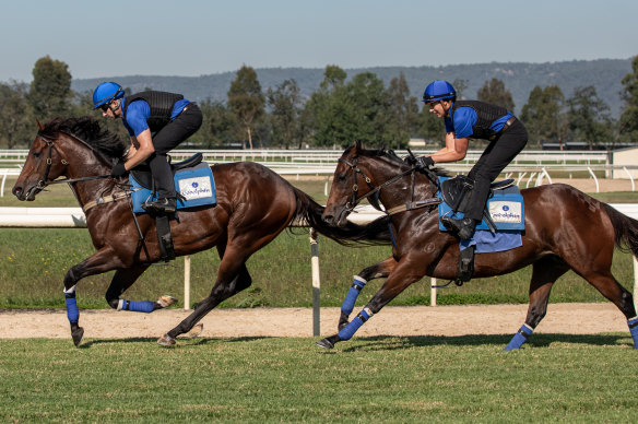 Anamoe leads Colette in his final workout before Saturday’s Queen Elizabeth Stakes at Randwick 