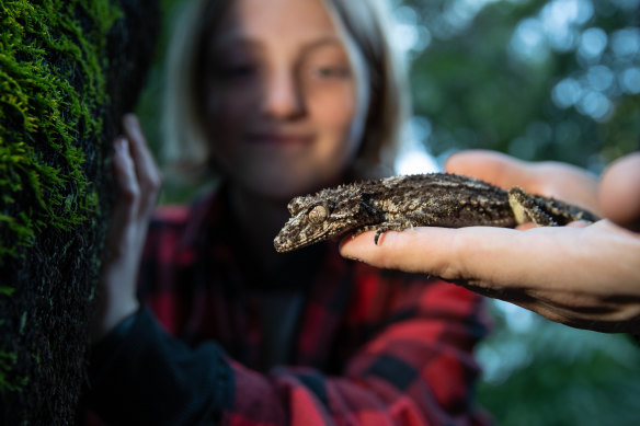 Myah McLennan with a leaf-tailed gecko. 