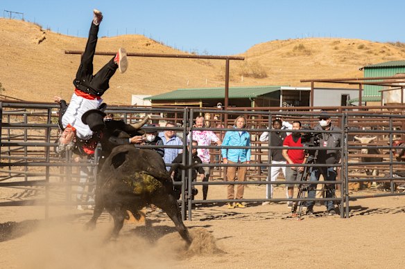 Johnny Knoxville’s final stunt with a bull, first featured in Jackass Forever, ended with concussion and brain hemorrhage.