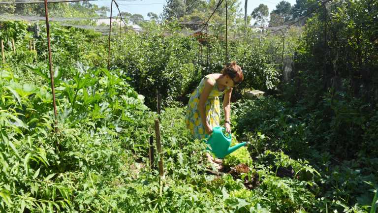 O’Mara says she monitors the weather to help decide when to use tank water to water the vegetable garden.