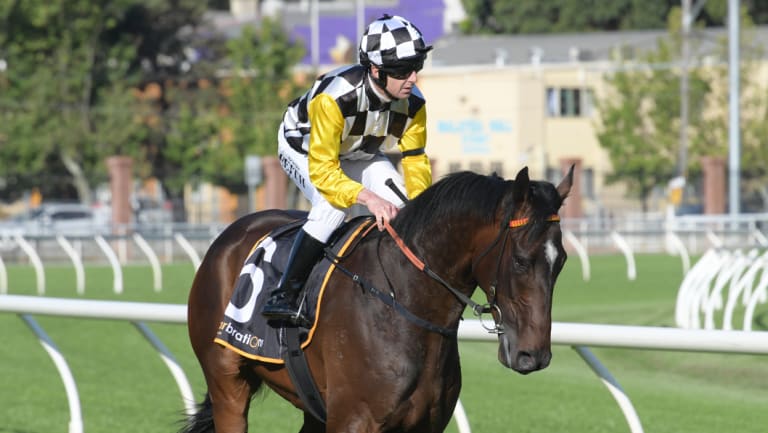 On the up: Christian Reith returns wearing a black armband on Sky Boy a fortnight ago.