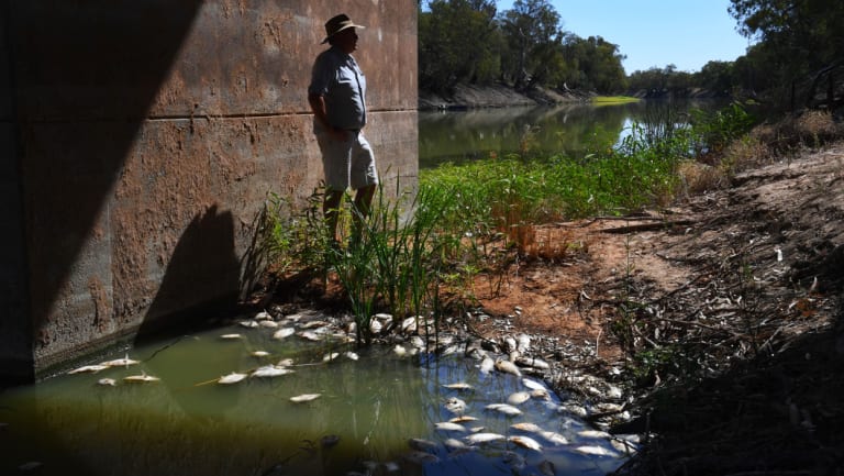 Grazier Rob McBride's video of mass fish deaths went viral.