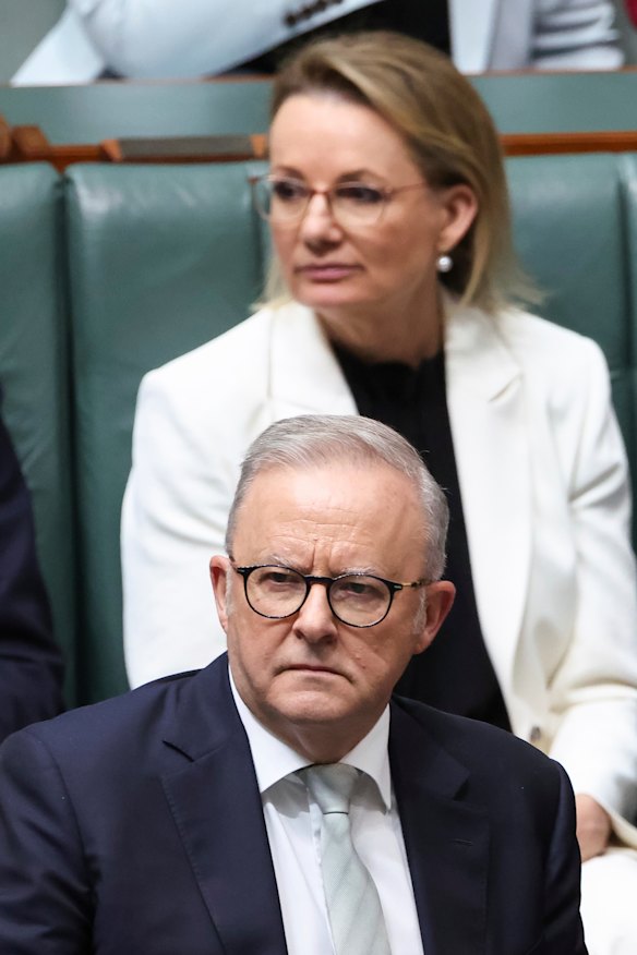 Sussan Ley and Anthony Albanese in the House on Tuesday.