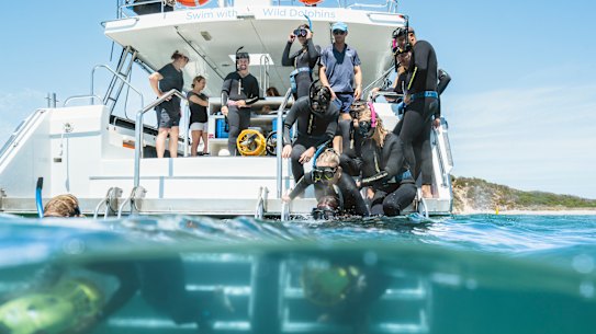 Ready to enter the water.