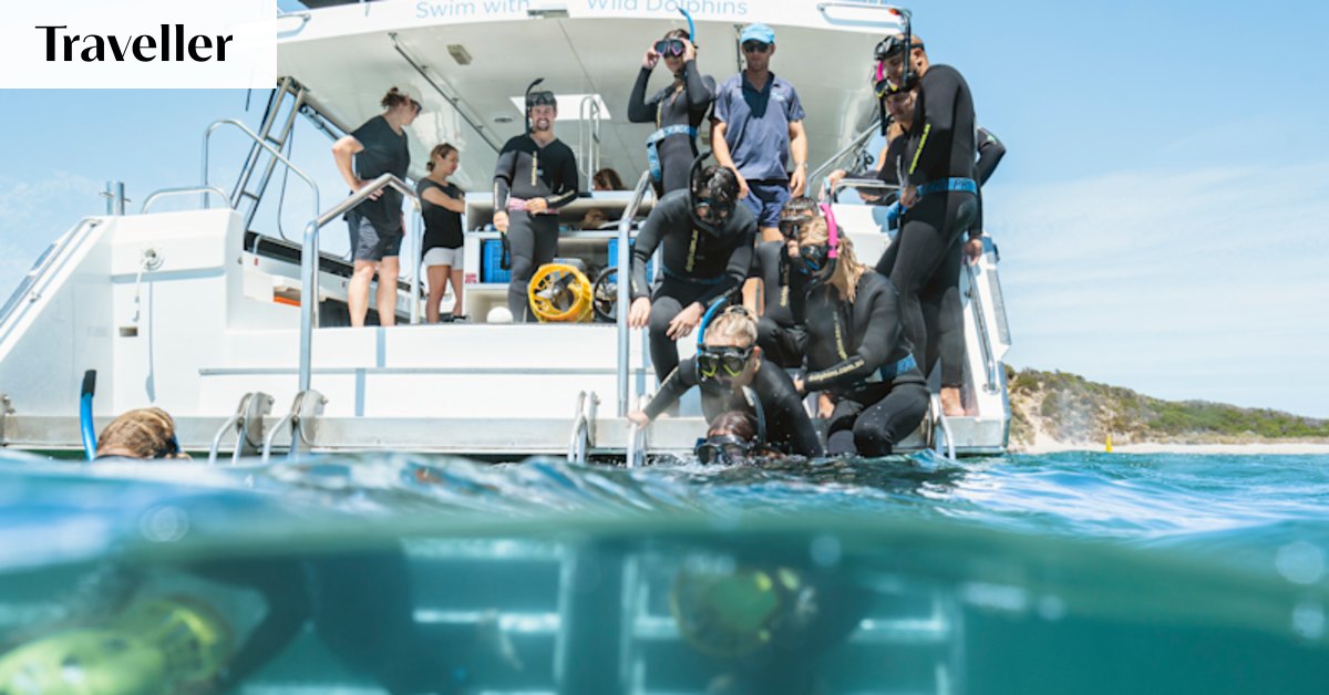 My dolphin swim overseas was horrible. I tried it again in Australia