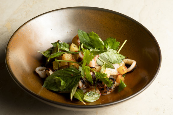 Char-grilled calamari with fresh herb salad and nduja dressing.