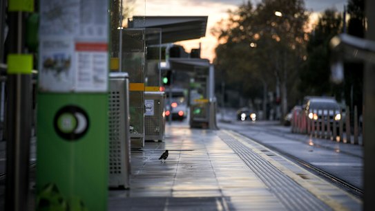 Melbourne is in its second week of lockdown. 