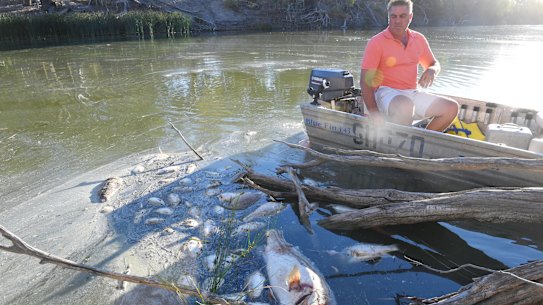 Graeme McCrabb on his tinnie in the Darling River, floating among dead Murray cod and other fish just after the second of three big fish kill events near Menindee.