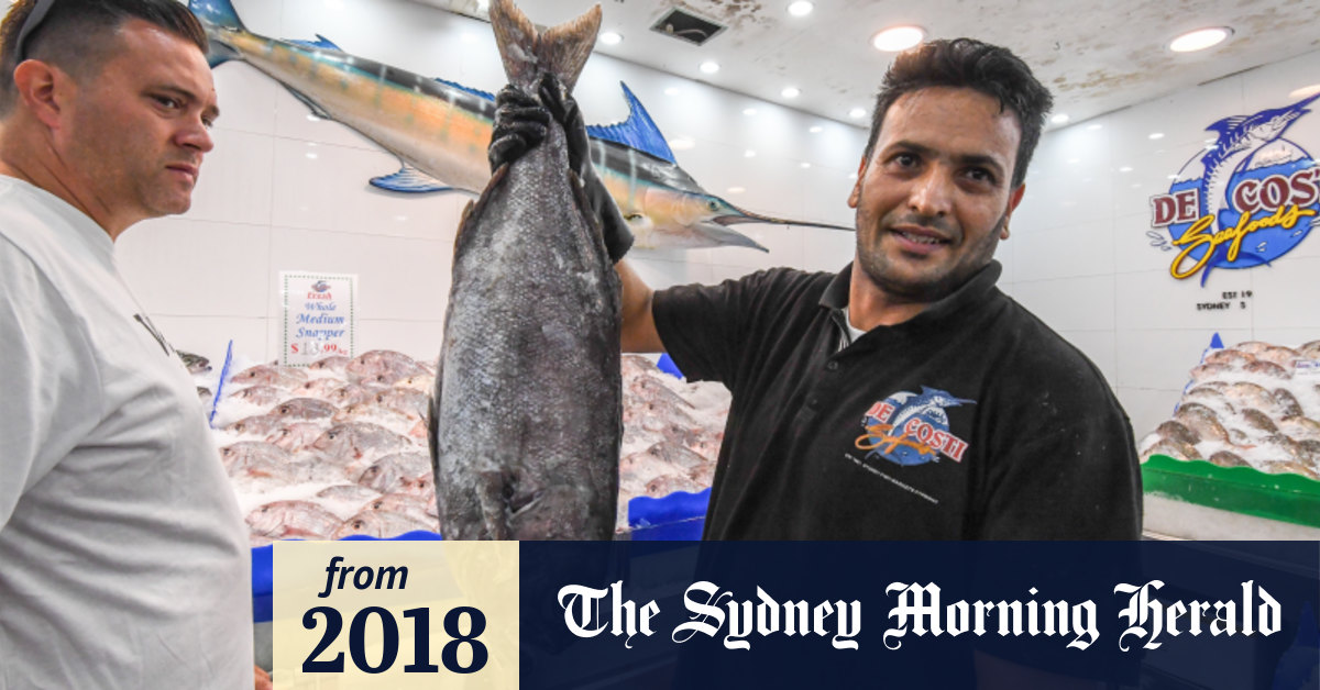 Feeding frenzy under way at Sydney Fish Market on Good Friday