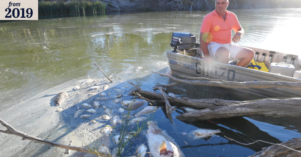 Fish kill report calls for review of key basin plan project, climate impact