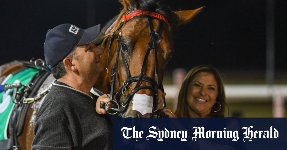 Connections of Inter Dominion’s accidental hero living the dream