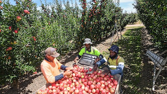 Farmers are warning the Nationals party must stump up on its promise for a new dedicated visa for agriculture workers.