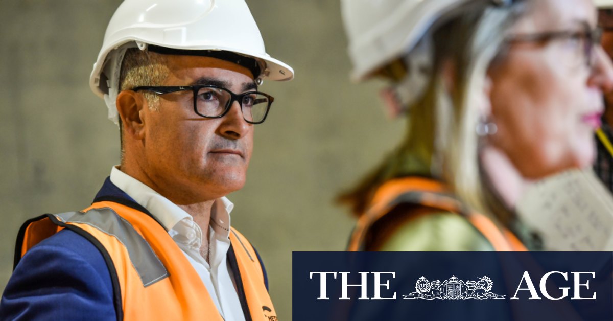 Deputy Victorian Premier James Merlino bats away ...