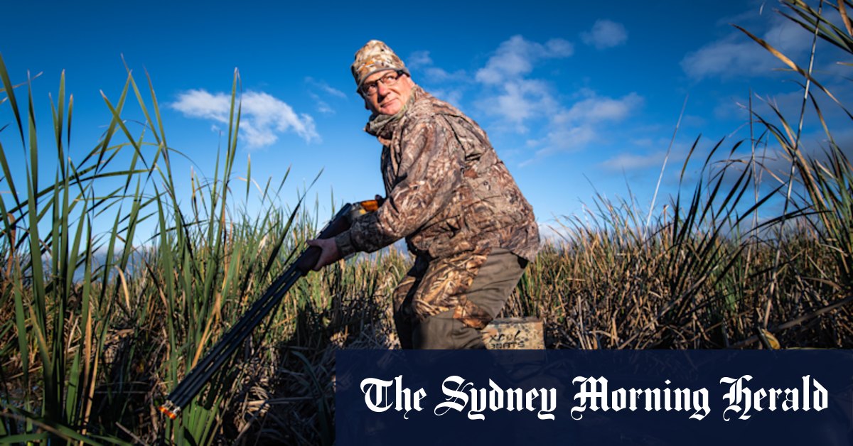 Duck hunters in Victoria say they're unfairly targeted - Vimarsana News