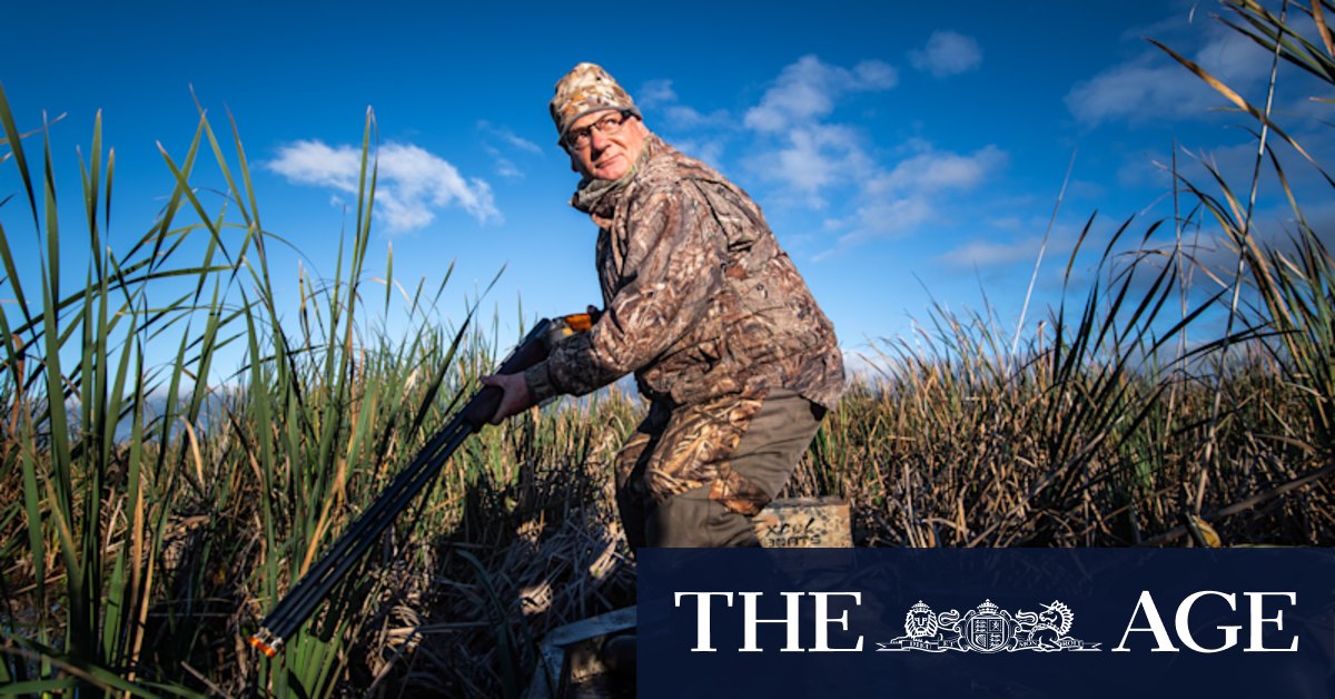 Duck hunters in Victoria say they're unfairly targeted - Vimarsana News