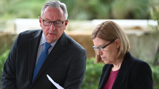 NSW Health Minister Brad Hazzard, left, and Chief Health Officer Kerry Chant, right.