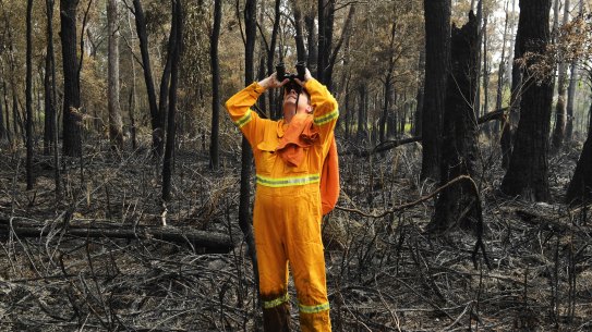 Wildlife rescue teams and National Parks and Wildlife Officers have found devastation when it has been safe to enter burnt regions.