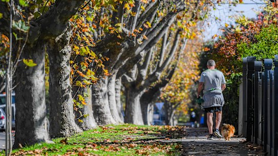 Malvern is one of only a handful of seats the Liberals hold with a margin above 5 per cent.