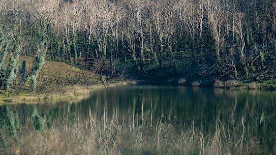 A view of the Talbingo Reservoir  in the Kosciuszko National Park in early August. Much of the park was hit hard by last January's bushfires.
