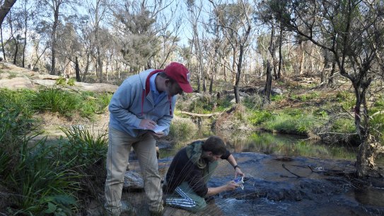 Western Sydney University scientist Ian Wright with student Callum Fleming take samples from Teatree Hollow as it meets the Bargo River. The creek is used as a water release point from Tahmoor Colliery