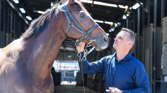 Joe Pride with Everest favourite Think About It.