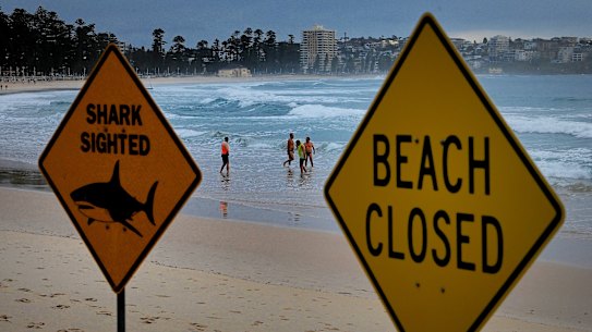 Nadadores na água de Manly Beach, onde há placas alertando sobre o avistamento de tubarões e que a praia está fechada após o ataque de tubarão de ontem. 