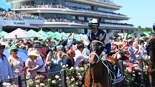 Moreira and Buckaroo head out to the start gate for the Melbourne Cup.