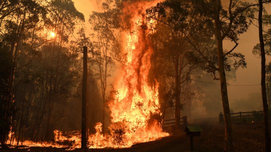 NSW has seen a horrific bushfire season, killing 25 people and burning about 3000 homes. 
