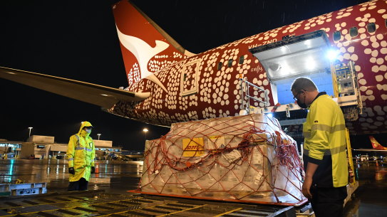 Additional doses of Pfizer arriving at Sydney International Airport overnight from England. 